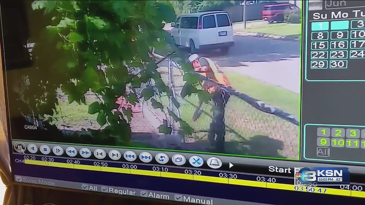 'I was furious': Wichita woman says worker spray-painted her dogs