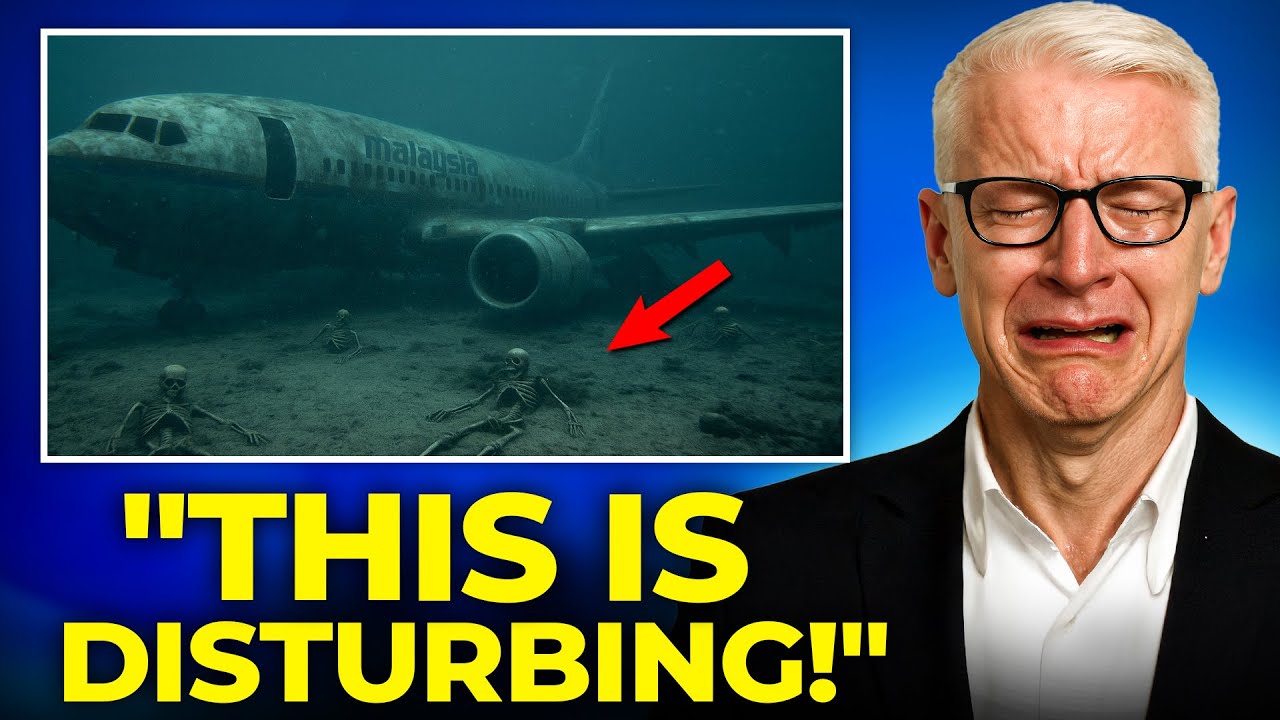 The Malaysian Flight MH370 Mystery Finally Solved And Isn't Good