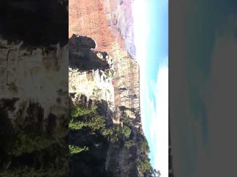 Guy falls off grand canyon