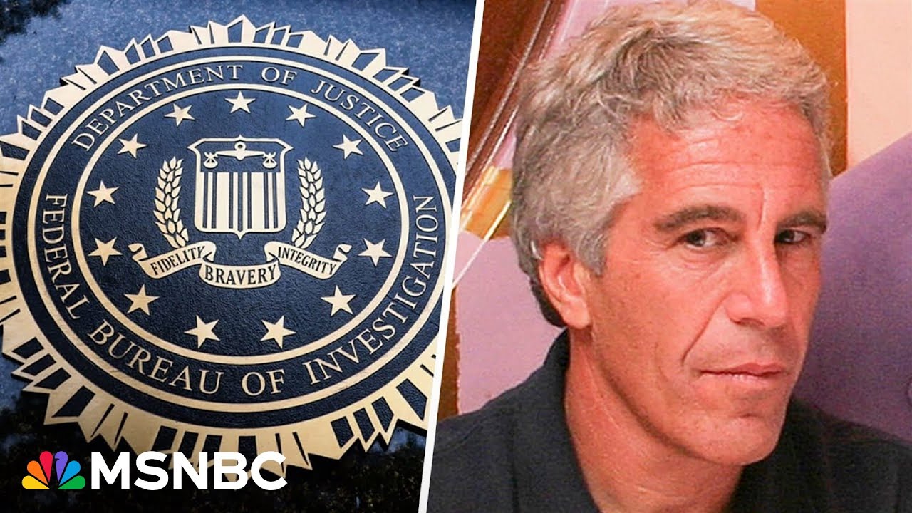 ‘Reeks of a COVER UP!’: Homeland Security vet on Durbin's Epstein files FBI allegation