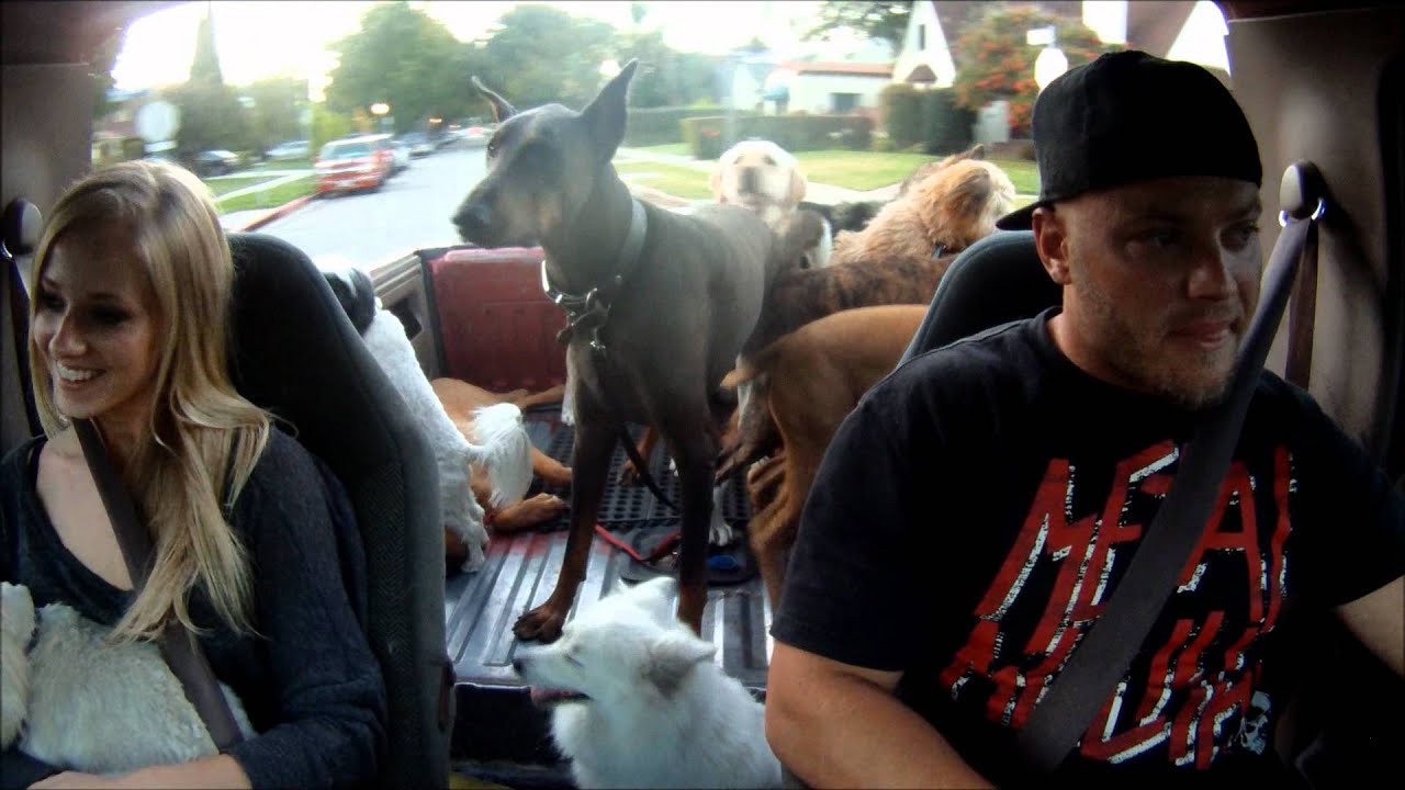 Burt Jenner and Valerie riding in the truck
