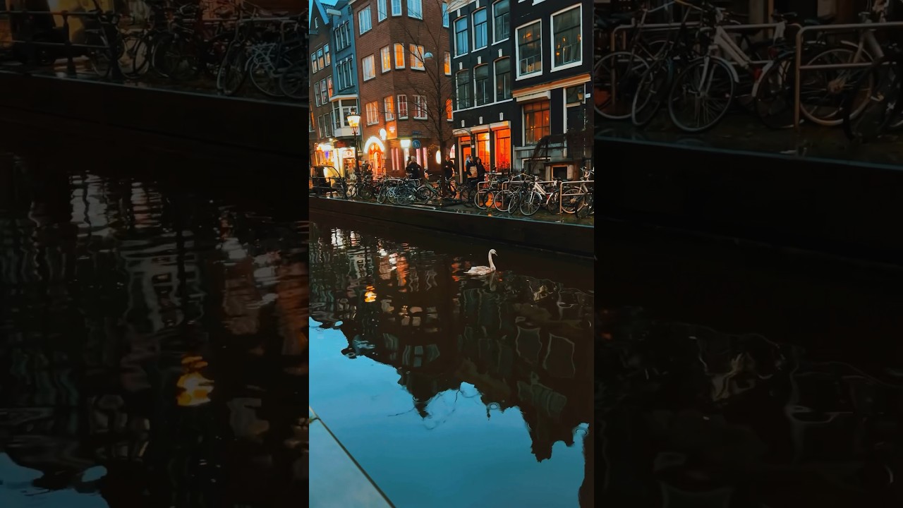 Red light district Amsterdam walk 🚶♀️ Full version⬆️ #journey #explore #christmas #shorts