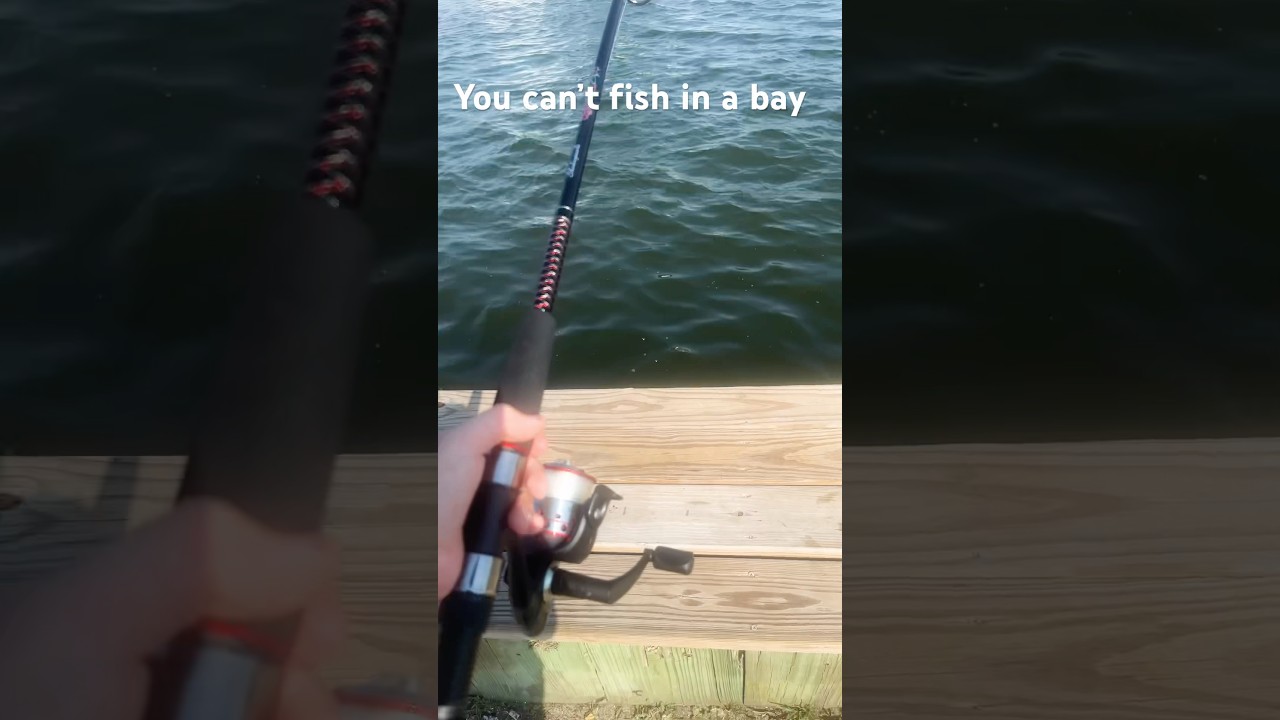 YES YOU CAN #fishing #yesyoucan #boat