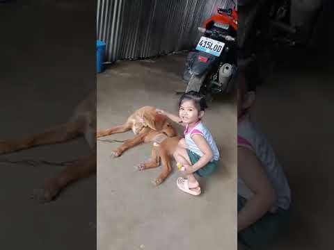 Meet her Playmate Hunter....