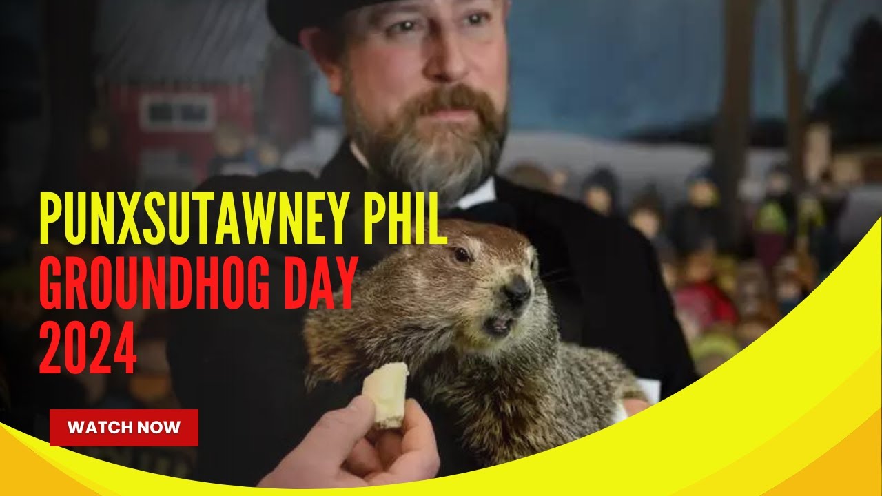 Did the Groundhog See Shadow | What did the Groundhog Say 2024 | Video of Punxsutawney Phil Updates