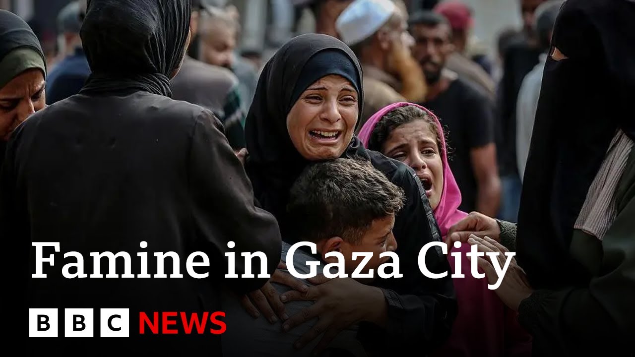 UN-backed report confirms famine in Gaza City | BBC News