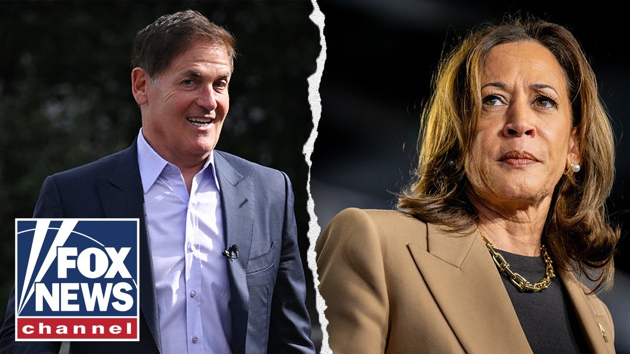 ‘AWFUL’: Mark Cuban turned down VP vetting offer from Harris team