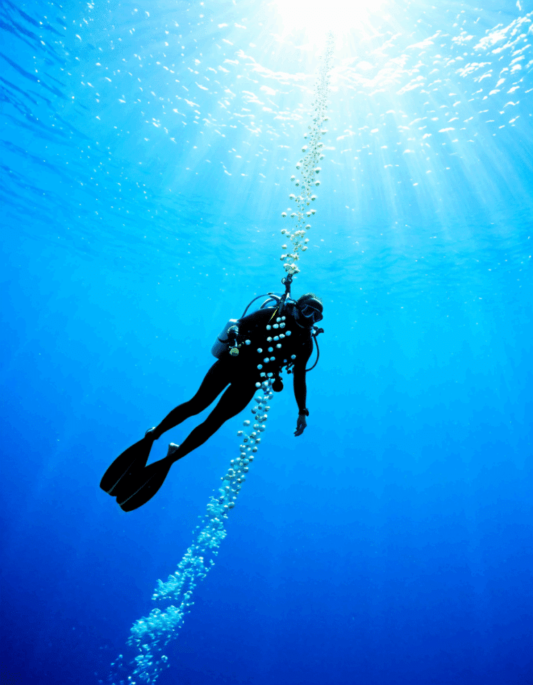 diver