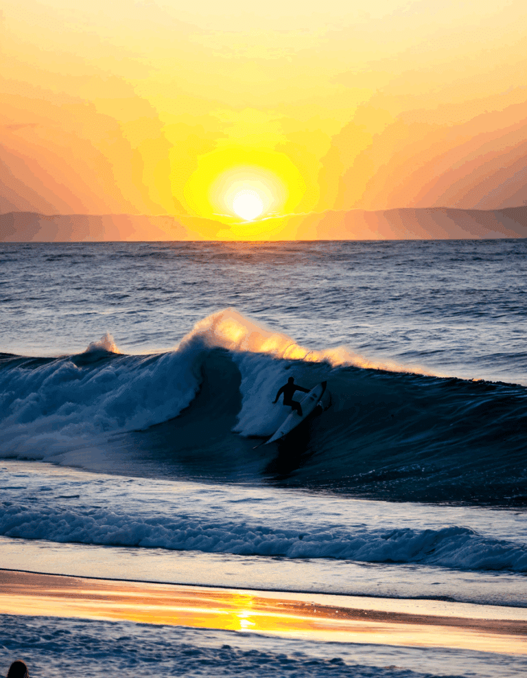 shark attacks surfer